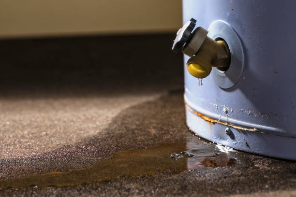 Best Carpet water damage restoration  in Kealakekua, HI