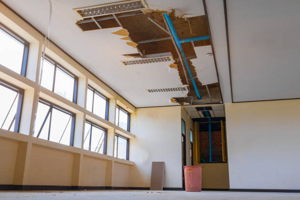Best Water damage cleanup near me  in Kealakekua, HI
