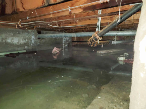 Best Emergency water damage restoration  in Kealakekua, HI