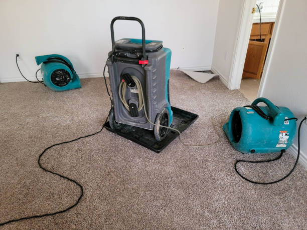 Best Mold removal after water damage  in Kealakekua, HI