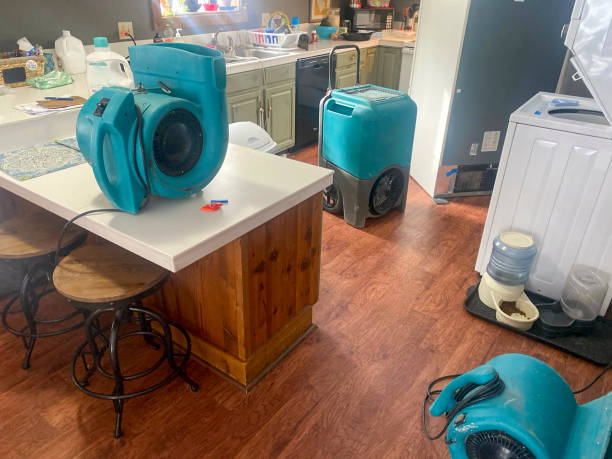Best Local water damage restoration  in Kealakekua, HI