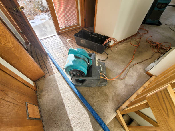 Fire Damage Restoration in HI