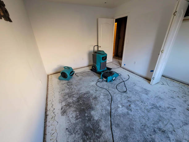 Best Water damage restoration near me  in Kealakekua, HI