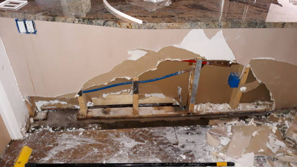 Best Basement water damage restoration  in Kealakekua, HI