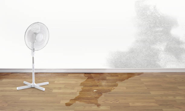 Best Water damage restoration near me  in Kealakekua, HI