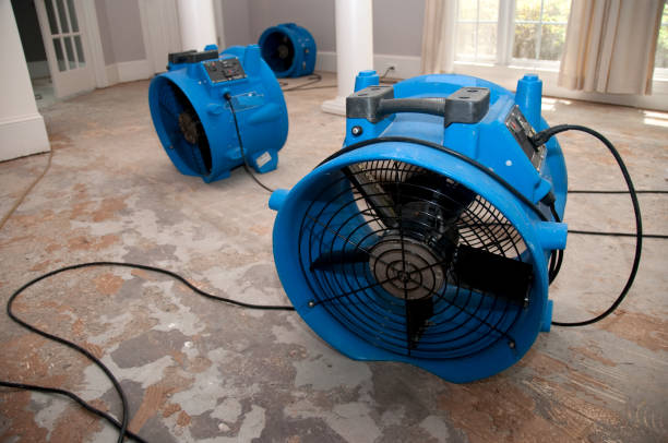 Best Ceiling water damage repair  in Kealakekua, HI