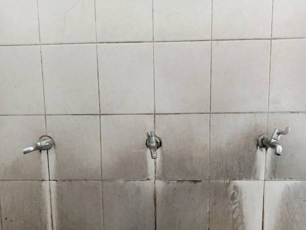 Best Carpet water damage restoration  in Kealakekua, HI