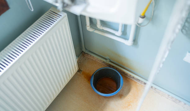 Best Professional water damage repair  in Kealakekua, HI