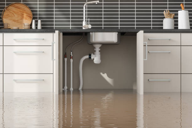 Best Professional water damage repair  in Kealakekua, HI